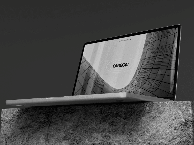 portfolio img 1
